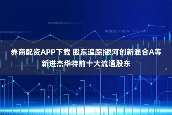 券商配资APP下载 股东追踪|银河创新混合A等新进杰华特前十大流通股东