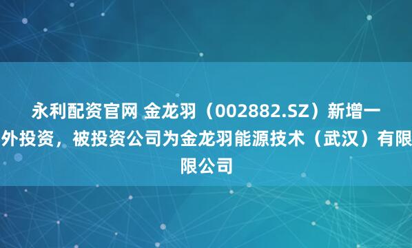 永利配资官网 金龙羽（002882.SZ）新增一起对外投资，被投资公司为金龙羽能源技术（武汉）有限公司